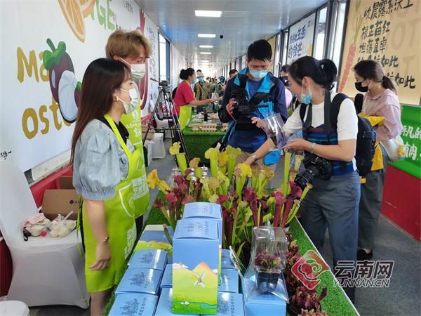 农业遇上艺术：嵩明“菜篮子艺术展”在昆三个点开展线下活动